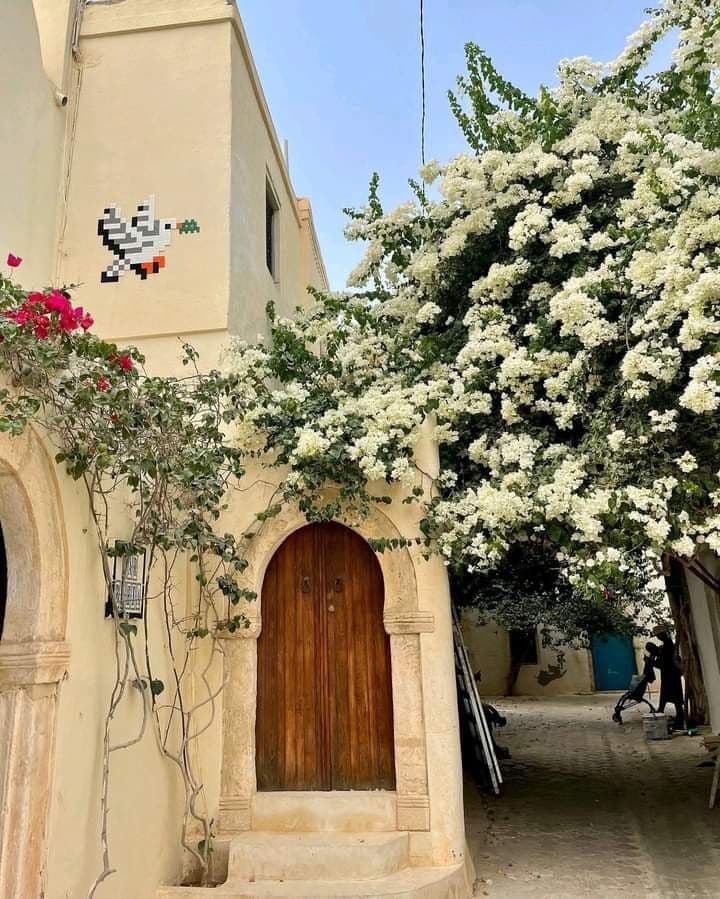 Djerbahood 11
